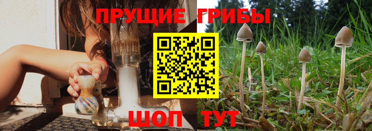 Псилоцибиновые грибы Psilocybine cubensis  Вход с VPN  Омск 